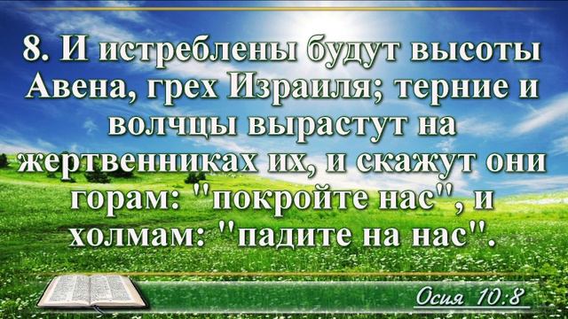 ВидеоБиблия Книга пророка Осии с музыкой глава 10 читаем и слушаем смотреть онлайн