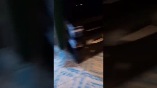 hasemos una filota con el jenga ¡¡genial!!! смотреть онлайн