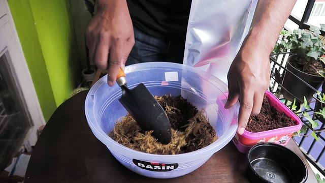 Substrate mix for terrariums (Soil mix for terrariums) смотреть онлайн