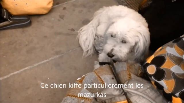 Mazurka Republika 30 06 2015 - Kwaga band et Arnaud смотреть онлайн