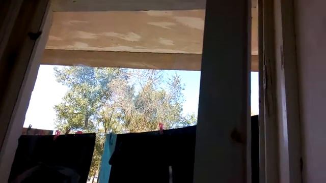 Залетела бабочка смотреть онлайн