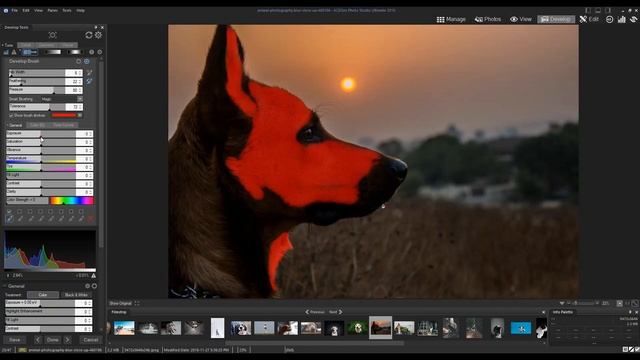 Brush Tool - Tutorial смотреть онлайн
