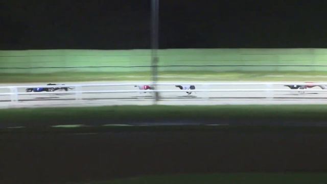2021 480 STANDARD - HEAT 1 - T2 LIGHTFOOT RIPLEY смотреть онлайн