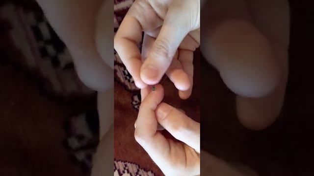 колечко вишенки из бисера лёгкое плетение смотреть онлайн