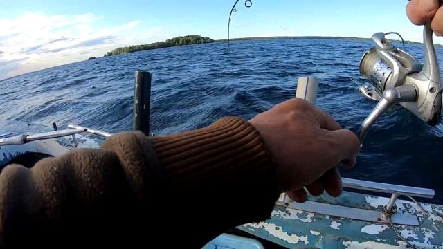 Щуки ЛОМАЮТ спиннинги))). Июльский жор! Рыбалка в Карелии на Онего. смотреть онлайн