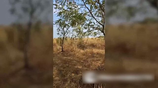 Военные Украины отправили пленных солдат ВС РФ на минное поле в одном из регионов проведения СВО
