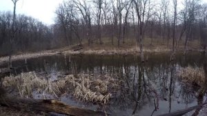 ЛОВЛЯ РАКОВ НА РАКОЛОВКИ! МАРТ 2020 ПЕРВЫЙ УЛОВ НА 7 КИТАЙСКИХ РАКОЛОВОК