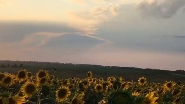 Вiрш який можно сприйняти сердцем, i душою | Александр Чайка | 1 смотреть онлайн