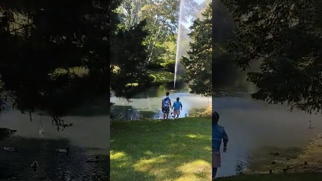 Парк в Франкфурте на Одре. смотреть онлайн