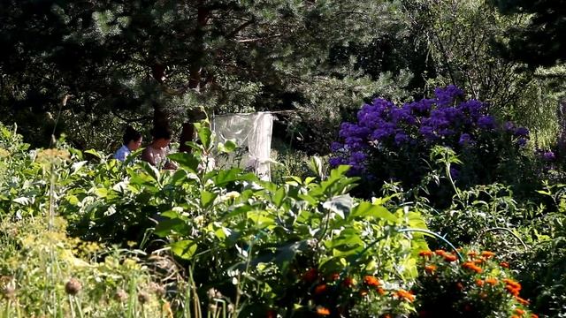 Ведрусское венчание спустя 10 лет Благодарность всем друзьям соседям смотреть онлайн