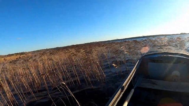 Поймал 60 крупных раков на Селигере смотреть онлайн