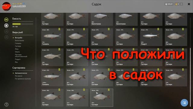 Русская рыбалка 4(рр4) - река Северский Донец. Густера. смотреть онлайн