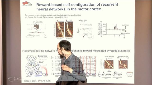 Dynamic Neural Network Structures Through Stochastic Rewiring смотреть онлайн