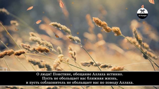 Mahdy ash-Shishany. 35 Фатыр (Творец), аяты 3-7 смотреть онлайн