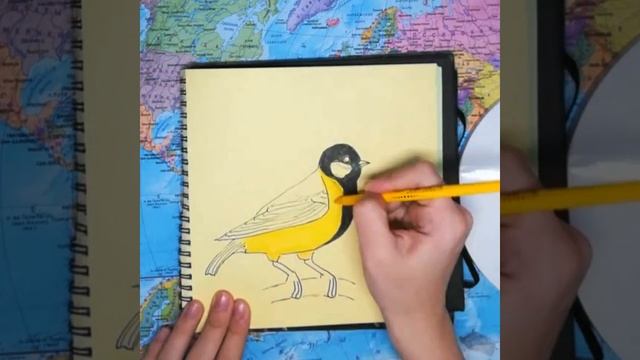 КАК НАРИСОВАТЬ СИНИЦУ? смотреть онлайн