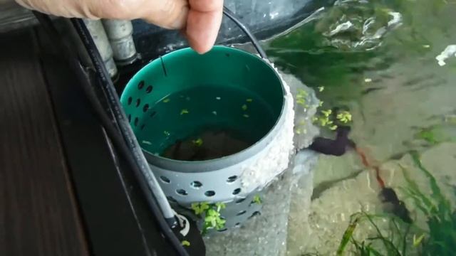 Внутренний аквариумный фильтр 2-я часть