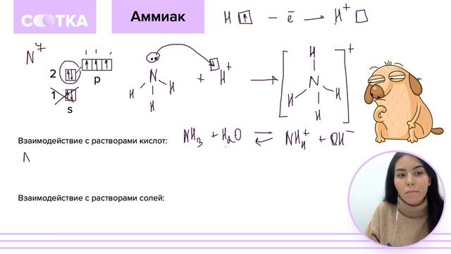 Аммиак за 13 минут | ХИМИЯ ЕГЭ | СОТКА смотреть онлайн