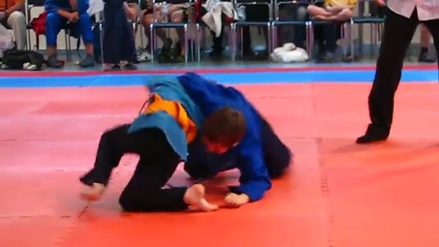 ХОРТИНГ. Чемпионат северного региона Украины. 18-19 мая 2013 года смотреть онлайн