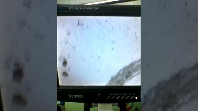 Триенофороз в налиме смотреть онлайн