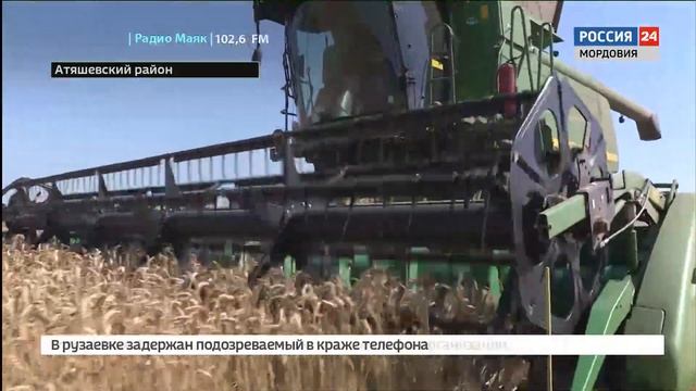 Зерна в республике собрали уже половину от плана