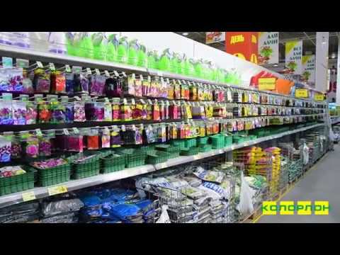 Семена в Новосибирске в магазине Колорлон ВТД смотреть онлайн