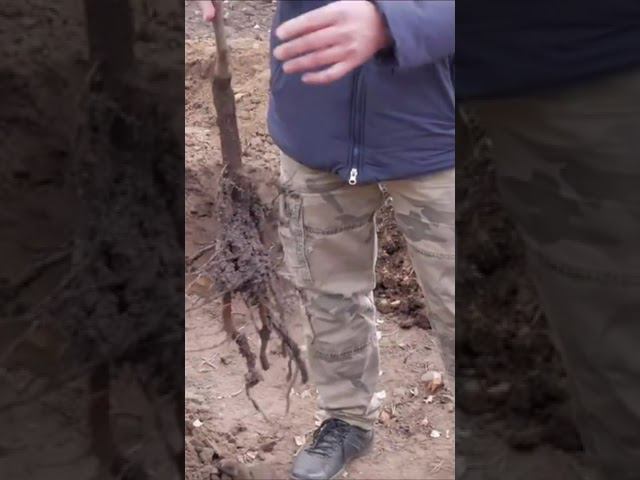 ОБЯЗАТЕЛЬНО обращай на это внимание смотреть онлайн