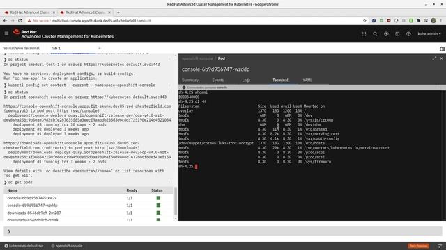 A Brief Demo of the Advanced Cluster Manager for Kubernetes Visual Web Terminal смотреть онлайн
