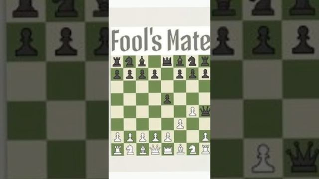 HOW TO WIN MATCH IN 2 MOVES | FOOL'S MATE | CHESS #chess #foolsmate #aughtweb смотреть онлайн