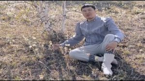 Клип Егора Степанова, Ньургуьуннар