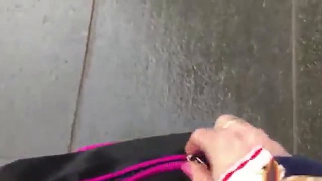 Вся правда о мерах безопасности на Играх в Пхенчхане смотреть онлайн