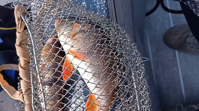 24.08.2024 САМАРА крупный окунь наТейл-Спиннер HURRICANE смотреть онлайн