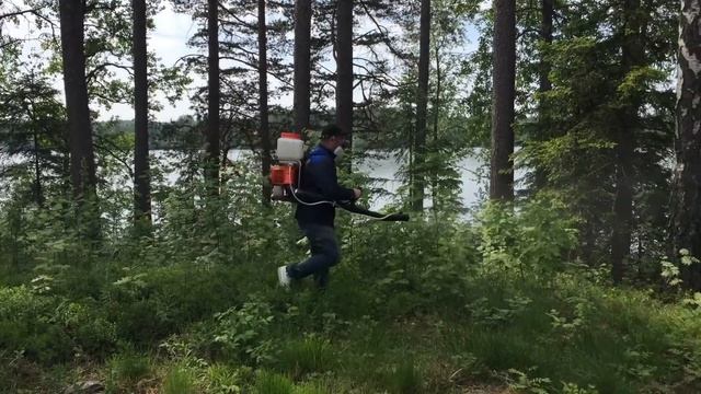 Уничтожение клещей на участке в СПБ и Ленобласти смотреть онлайн