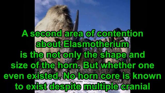 Prehistoric Information- Elasmotherium смотреть онлайн