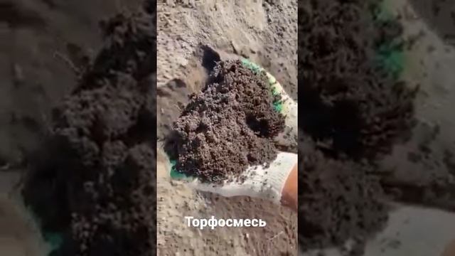 Торфосмесь. 5ти компонентная. плодородная, торф, чёрнозем, навоз, песок. 8 985 166 59 75 Москва и М смотреть онлайн