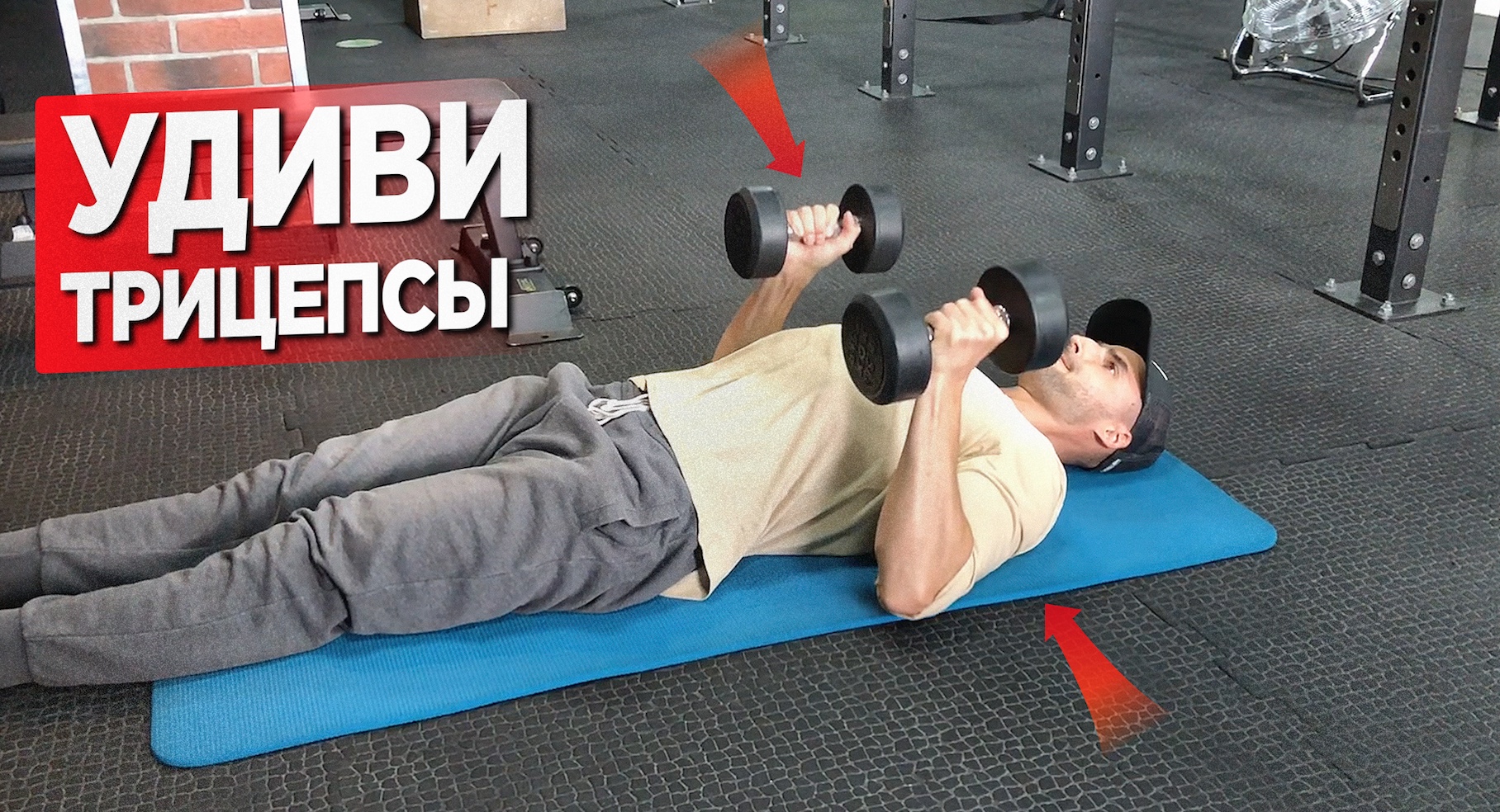 4 упражнения для роста трицепса (гантели и свой вес) смотреть онлайн