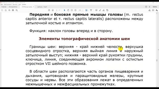 19.4 Мышцы шеи смотреть онлайн