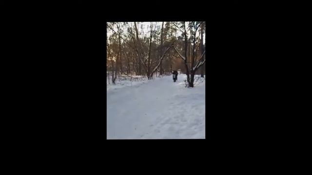 Kayo 140. Нарезка моментов. #1 смотреть онлайн