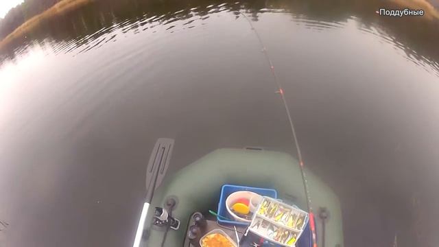 Рыбалка ловля судака на спиннинг Pike fishing Поддубные смотреть онлайн