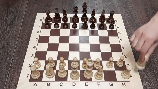 Очень редкий дебют в шахматах | Уроки шахмат смотреть онлайн