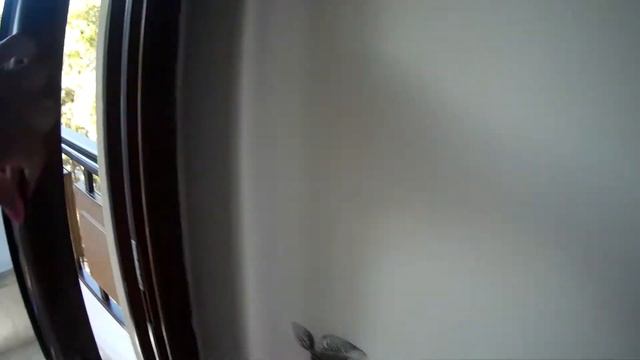 Utopia World Hotel.  Вилла. Номер 1706