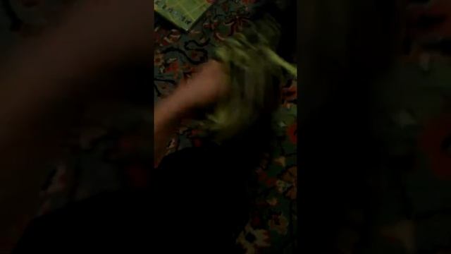 Новые сороконожки Demix 2в1 смотреть онлайн