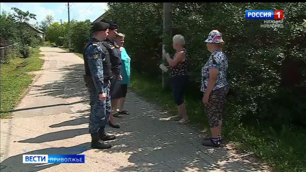 Опасное соседство: что делать, если сосед свой участок превратил в пасеку? смотреть онлайн