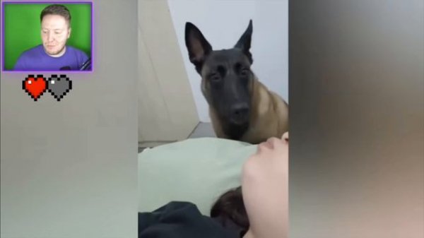 попробуй не засмеяться челлендж