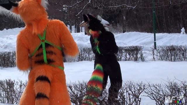 Русфуренция 2015 (Rusfurence 2015) - Групповое фото с фурсьютерами смотреть онлайн