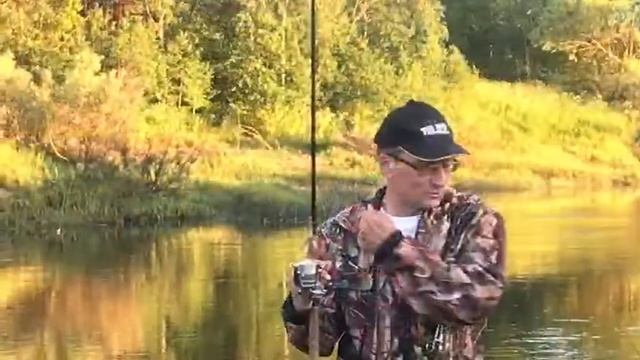 Медведица.Рамешковский район деревня Заполье