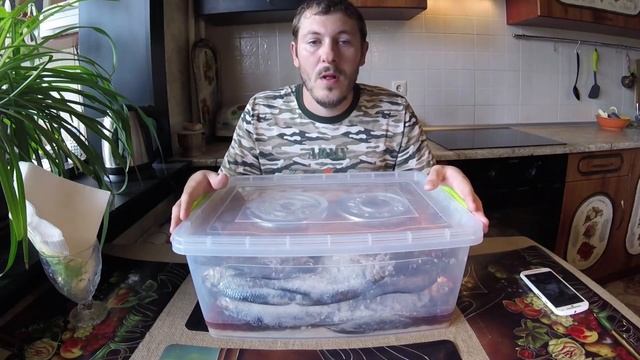 Здоровый Образ Жизни в Движении