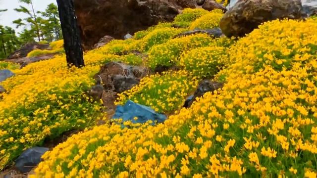 Вулкан Тейде остров Тенерифе Испания таймлапс The Teide volcano Tenerife Spain timelapse смотреть онлайн