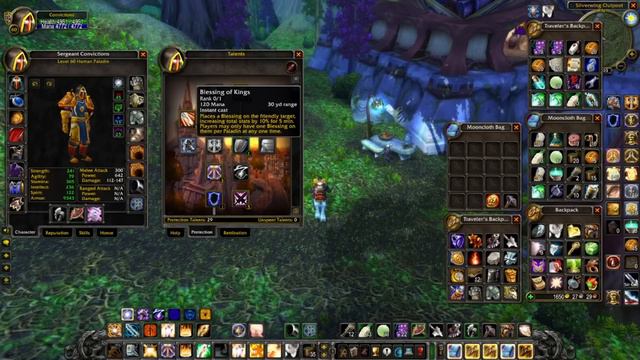 Paladin PvE Guide Classic WoW TALENTS! смотреть онлайн