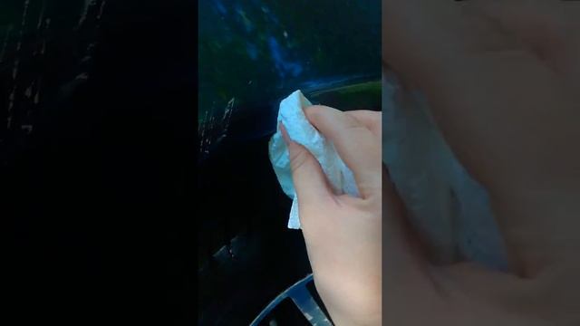 1проба убираем рыжики с использованием грунта дэу нексия смотреть онлайн