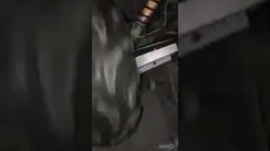 Люфт переднего привода Стелс Гепард
